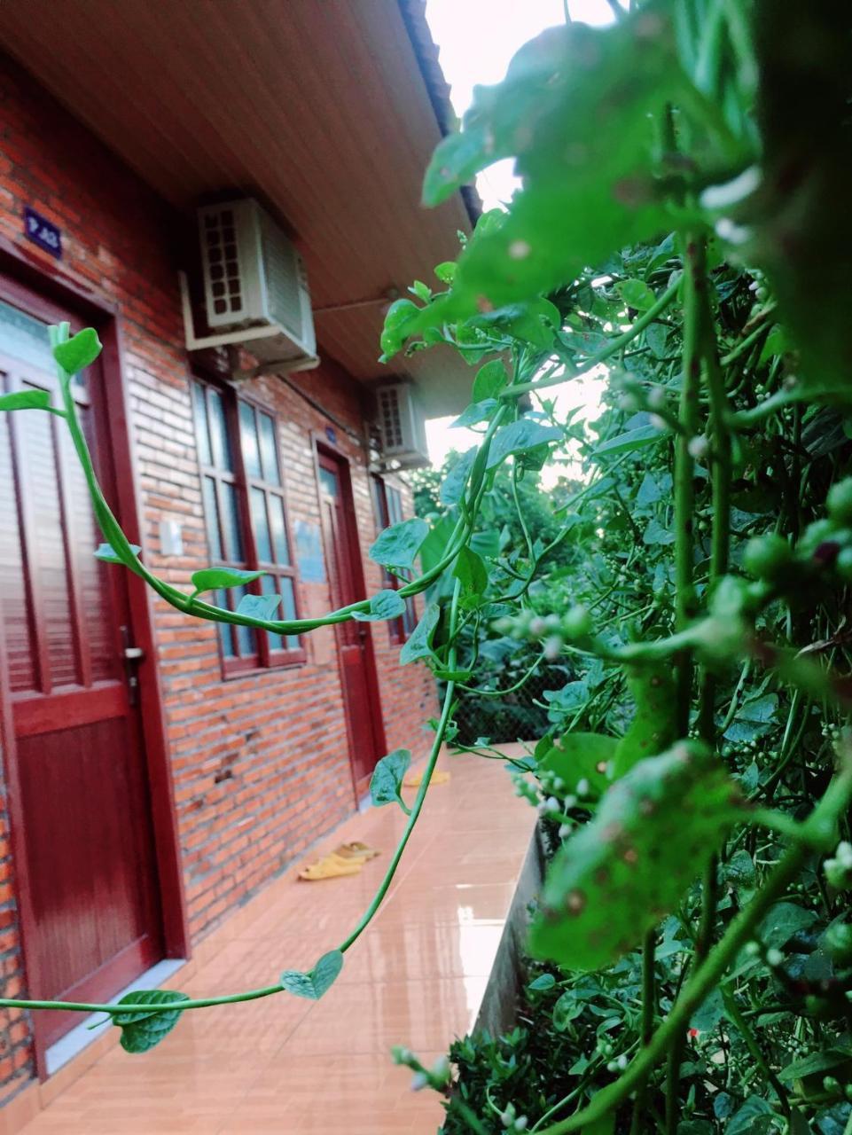 Nam Cat Tien Homestay Екстер'єр фото